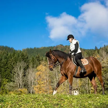 Kocka * Zgornje Jezersko