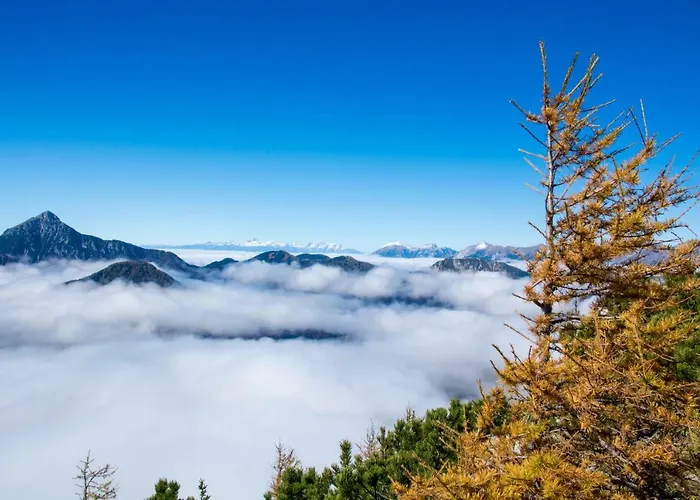 Alloggio in famiglia Kocka